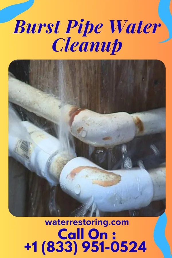 Burst Pipe Water Cleanup in Henderson, WV