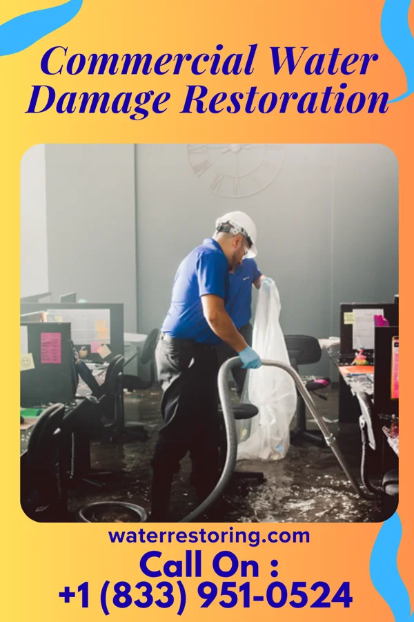 Commercial Water Damage Restoration in Henderson, WV