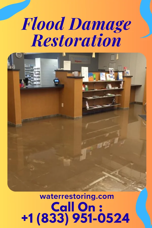 Flood Damage Restoration in Henderson, WV