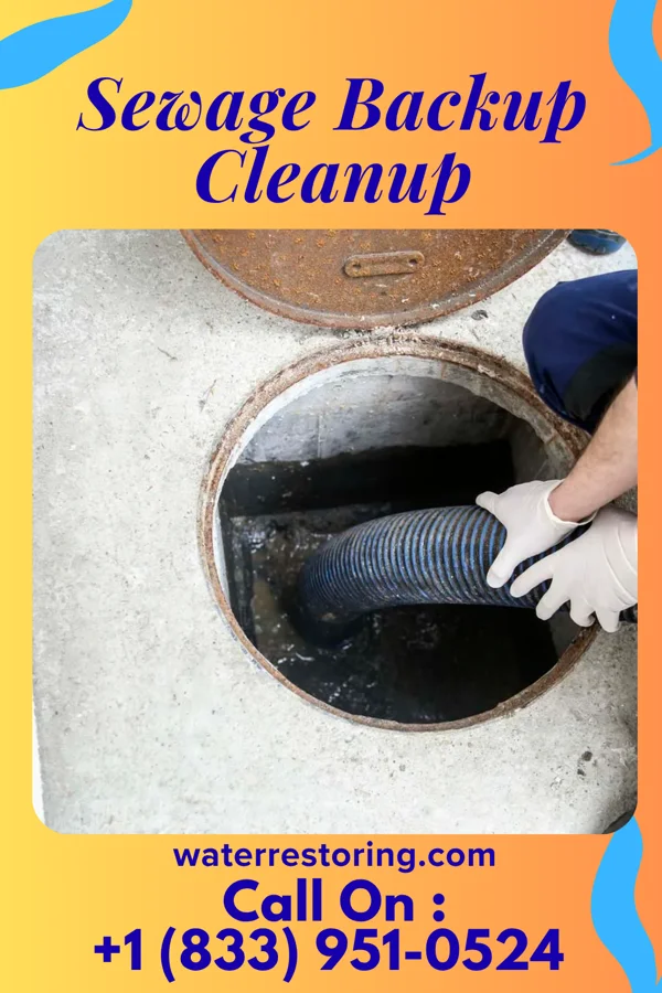 Sewage Backup Cleanup in Henderson, WV
