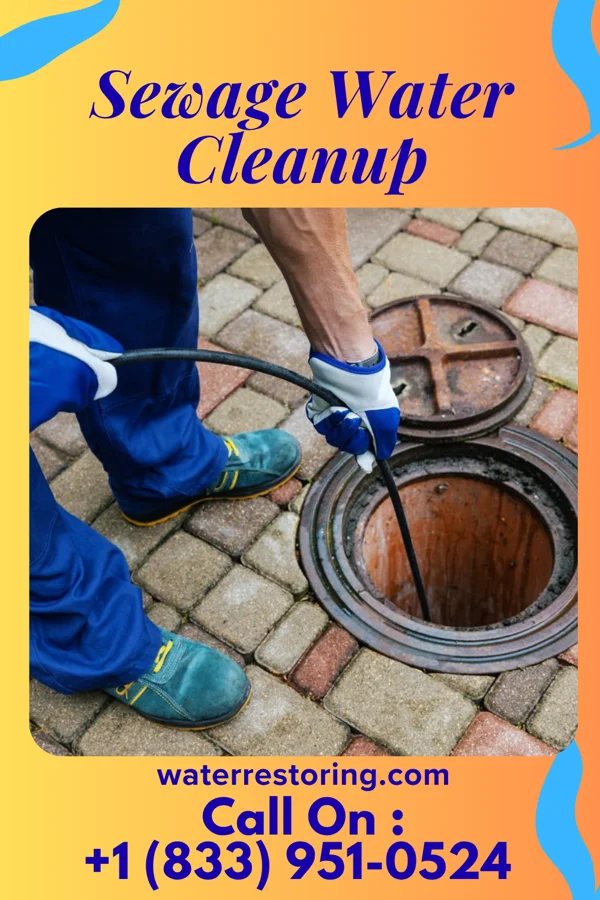 Sewage Water Cleanup in Henderson, WV