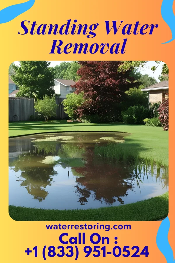 Standing Water Removal in Henderson, WV